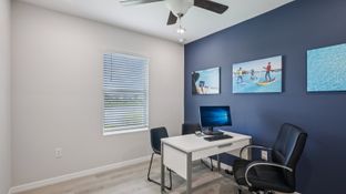 Mangrove Point por D.R. Horton Basic en Tampa-St. Petersburg Florida
