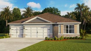 MADISON - Summerlin at Hawthorne Ranch: Lakeland, Florida - D.R. Horton Basic