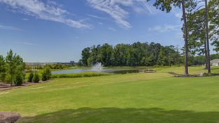 KERRY - Sease's Pond: Gilbert, South Carolina - D.R. Horton Basic