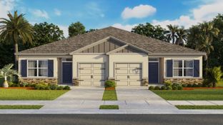 Bermuda - Farm at Varrea Villas: Plant City, Florida - D.R. Horton Basic