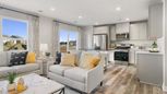 Big Woods Townhomes - Rogers, MN