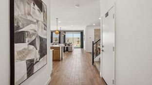 Remington por D.R. Horton Basic en Phoenix-Mesa Arizona