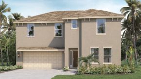 Timberwalk - Mount Dora, FL