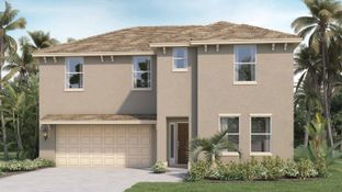 McGRAW - Timberwalk: Mount Dora, Florida - D.R. Horton Basic