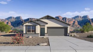 Caden - Trouvaille: Tolleson, Arizona - D.R. Horton Basic
