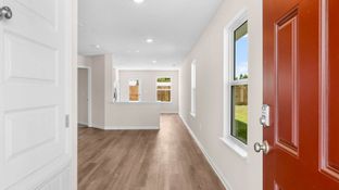 The Celeste - Park Place: Panama City, Florida - D.R. Horton Basic