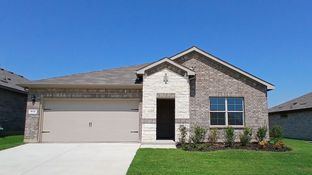 Natchez - The Canyons: Keene, Texas - D.R. Horton Basic
