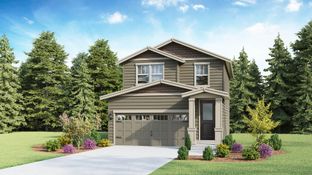 Daffodil - Rosewood Court: Kirkland, Washington - D.R. Horton Basic