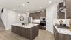 casa en Tambark Estates por D.R. Horton Basic