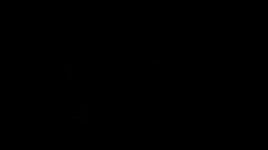 1106 Hartford Lane (Lyndhurst)