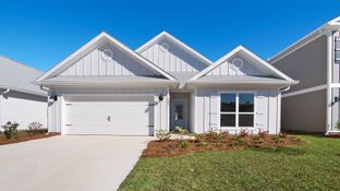 Delray - Bayside at Ward Creek: Panama City Beach, Florida - D.R. Horton Basic