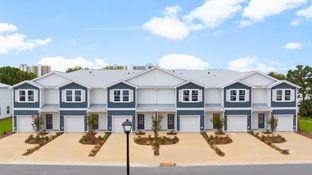 Palm Interior - Caballeros Estates Townhomes at Hombre: Panama City Beach, Florida - D.R. Horton Basic