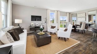 CALLIHAN - Cambridge Lakes North Ranch Townhomes: Pingree Grove, Illinois - D.R. Horton Basic