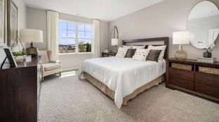 CALLIHAN - Cambridge Lakes North Ranch Townhomes: Pingree Grove, Illinois - D.R. Horton Basic
