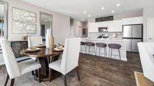 CALLIHAN - Cambridge Lakes North Ranch Townhomes: Pingree Grove, Illinois - D.R. Horton Basic