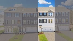 Regent - Finished Basement - Rolling Hills: Moon Township, Pennsylvania - D.R. Horton Basic