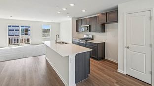 GARFIELD - The Grasslands Townhomes: Bartlett, Illinois - D.R. Horton Basic