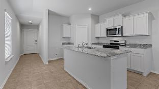 AMBER - Springhill South: Boyd, Texas - D.R. Horton Basic