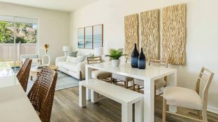 Vale - Oasis at Longwood Run: Sarasota, Florida - D.R. Horton Basic