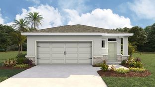 Harper - Angeline: Land O' Lakes, Florida - D.R. Horton Basic
