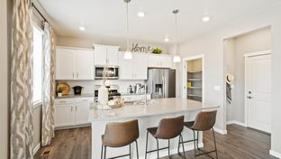 BELLAMY - Hansen Farm: Fort Collins, Colorado - D.R. Horton Basic