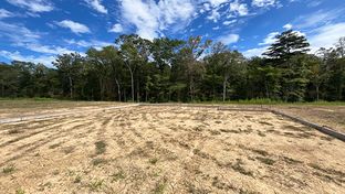 CALI - Carolina Groves: Moncks Corner, South Carolina - D.R. Horton Basic