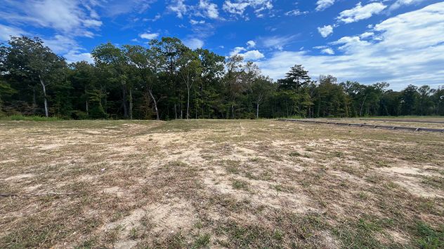 Carolina Groves - Moncks Corner, SC