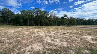 SALEM - Carolina Groves: Moncks Corner, South Carolina - D.R. Horton Basic