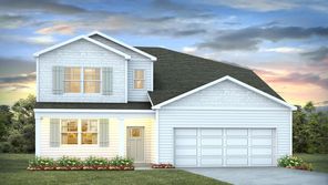 446 TULIP POPLAR DRIVE (SALEM)