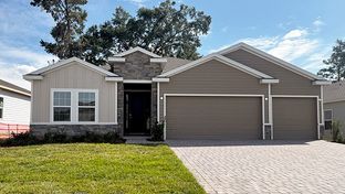 Destin - Buchanan Trails: Newberry, Florida - D.R. Horton Basic