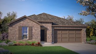 Tupelo - The Canyons: Keene, Texas - D.R. Horton Basic