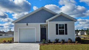 CAMERON - Summerville: Darlington, South Carolina - D.R. Horton Basic
