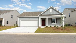 CALI - The Bluffs at Mill Creek: Florence, South Carolina - D.R. Horton Basic