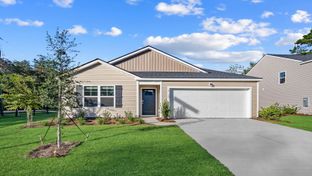 Freeport - The Groves at Bees Creek: Ridgeland, South Carolina - D.R. Horton