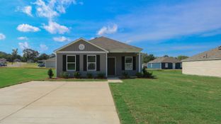 The Allanton - Sandy Ridge: Tuscaloosa, Alabama - D.R. Horton