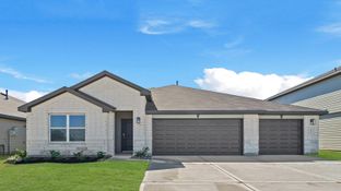 Courtland - Medina: Dayton, Texas - D.R. Horton