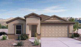 Easton - Saguaro Bloom: Marana, Arizona - D.R. Horton
