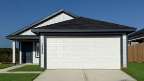 15355 Lake Conroe Cove Drive (Amber)