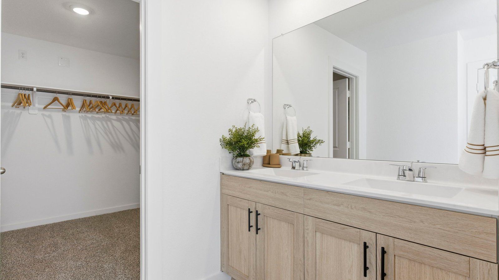 Subdivision Image 13