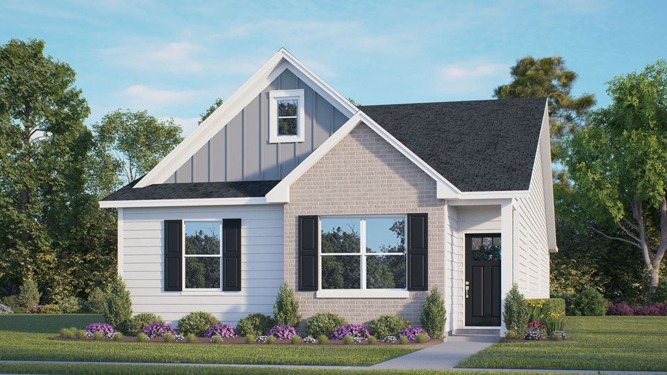 Plan Elevation.