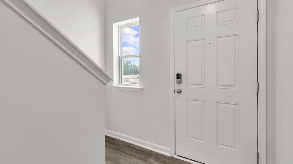 Elevation Image 2.