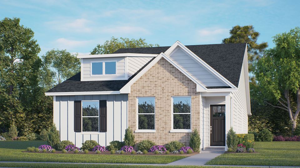 Plan Elevation.