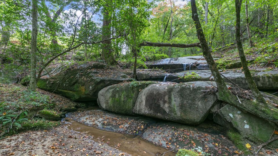 Subdivision Image 14