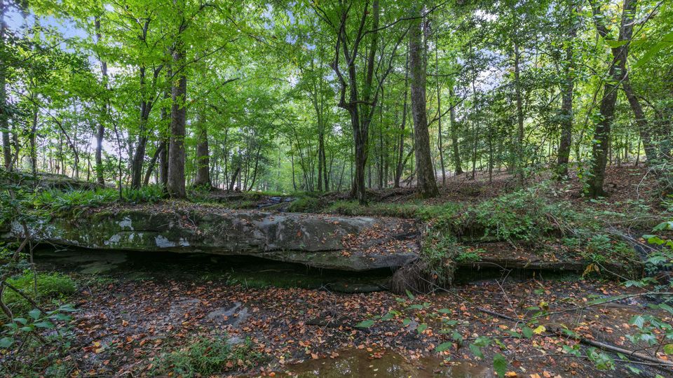 Subdivision Image 41