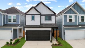 3523 Shearwater Street (CACTUS)