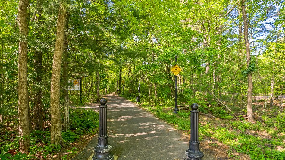 Subdivision Image 40
