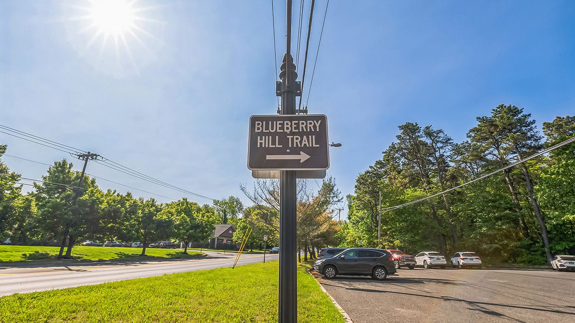 Subdivision Image 41