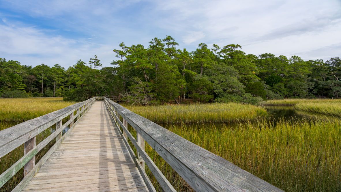 Subdivision Image 10