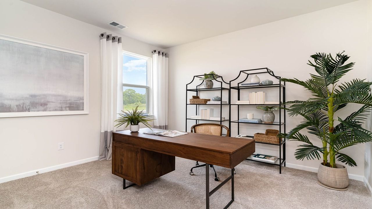 241 Ridley Street (ARIA)