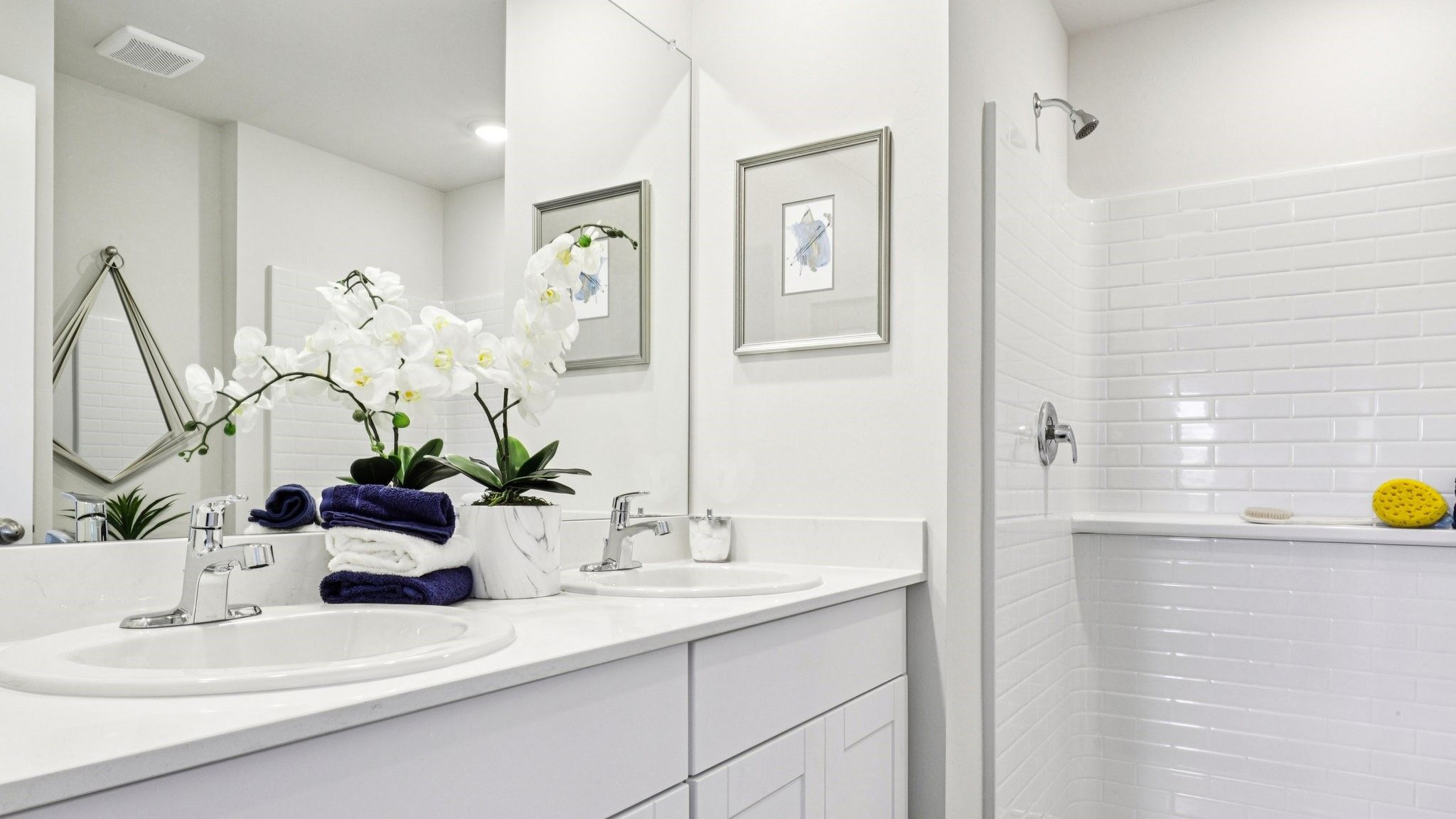 Subdivision Image 31